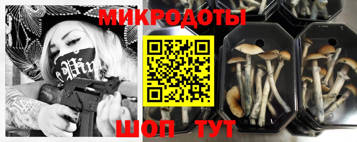 Камышлов  Псилоцибиновые грибы Magic Shrooms  купить   Вход с VPN 