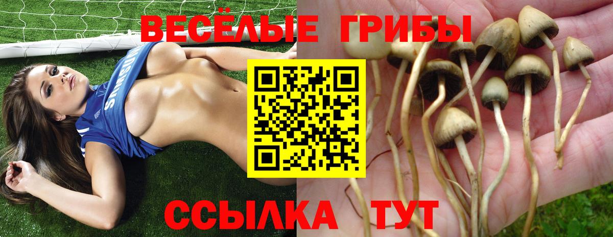 Галлюциногенные грибы прущие грибы Камышлов